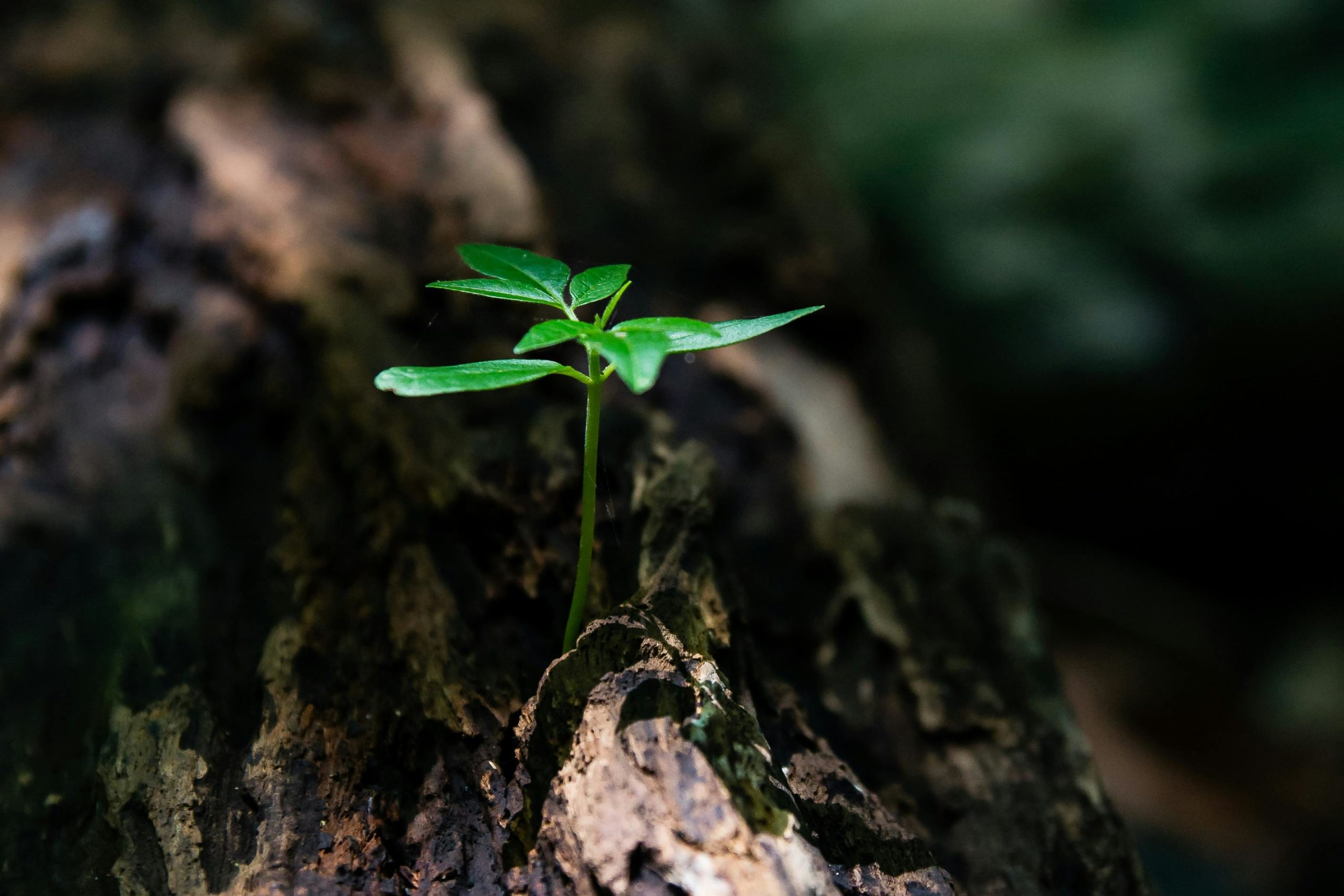 How to Increase Your Life Insurance