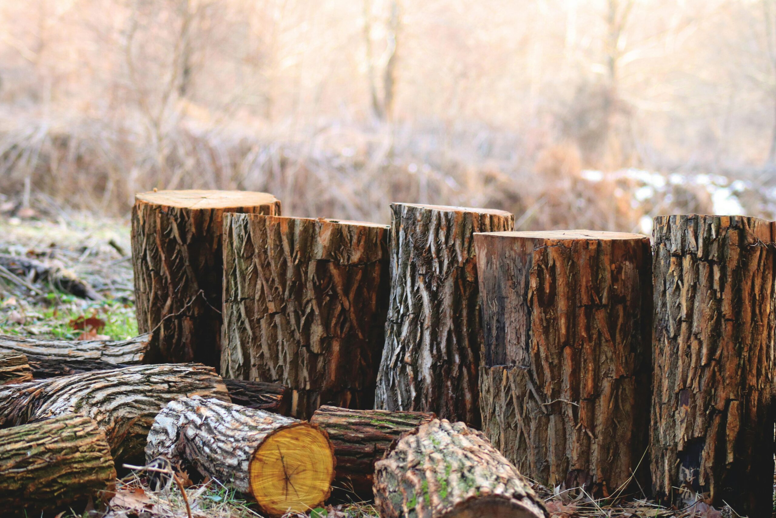 tree lopping insurance australia
